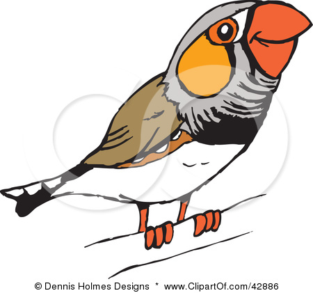 450x421 Top 92 Finch Clipart