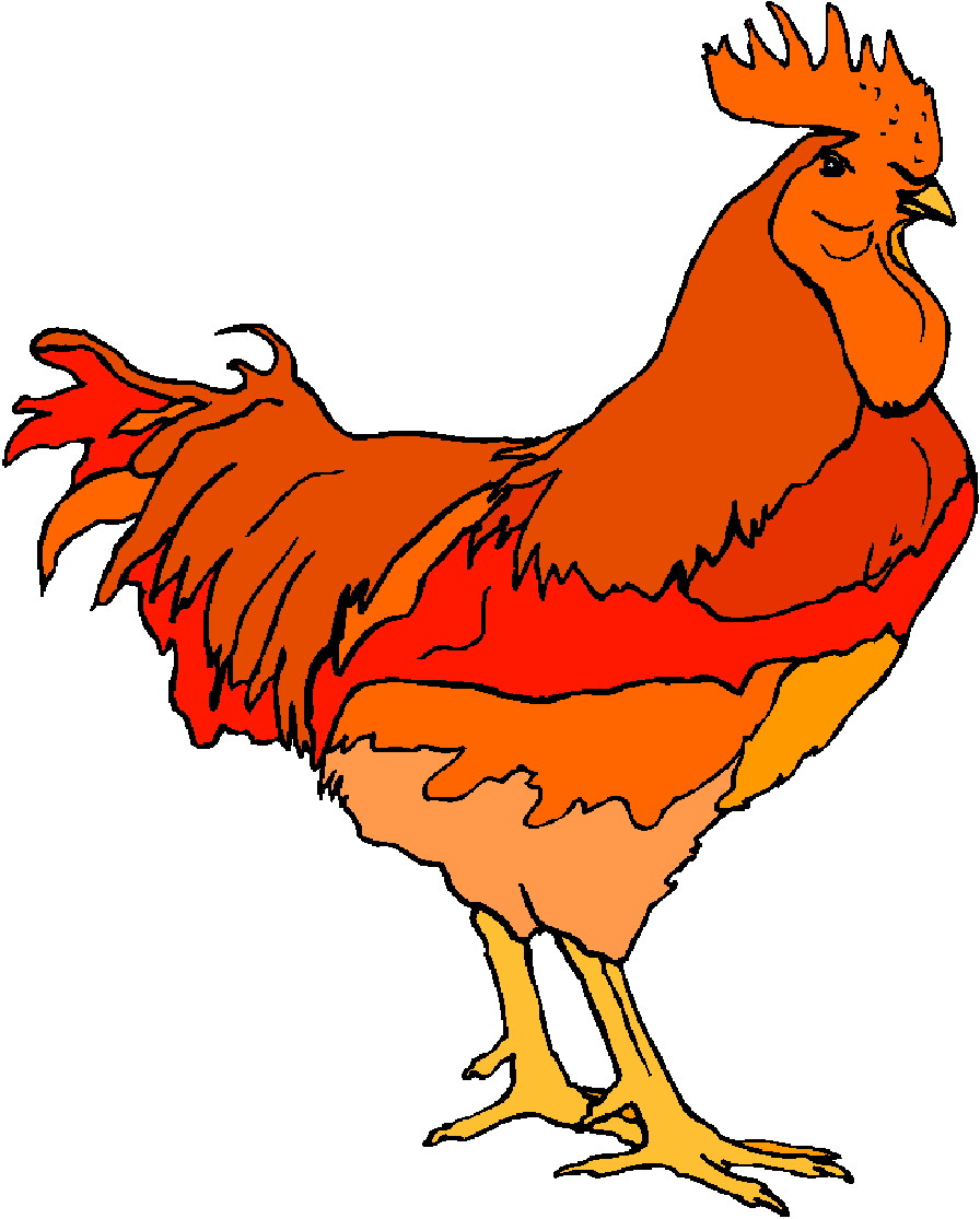 896x1115 Chicken Clipart Clip Art Chickens