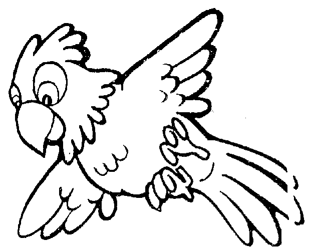 623x503 Parrot Clipart,
