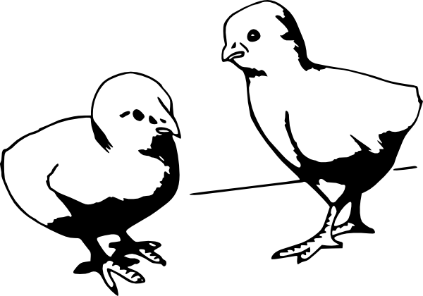 600x420 Baby Chicks Clip Art