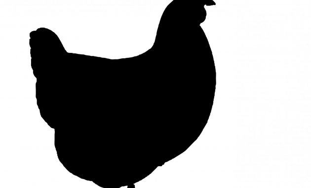 630x380 White Chicken Silhouette Clip Art Archives