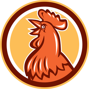 350x350 St. Mary's Chicken Dinner