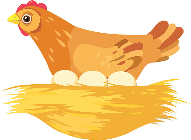 612x450 Egg Clipart Hen Egg