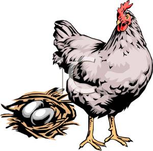 300x296 Nest Clipart Chicken Egg