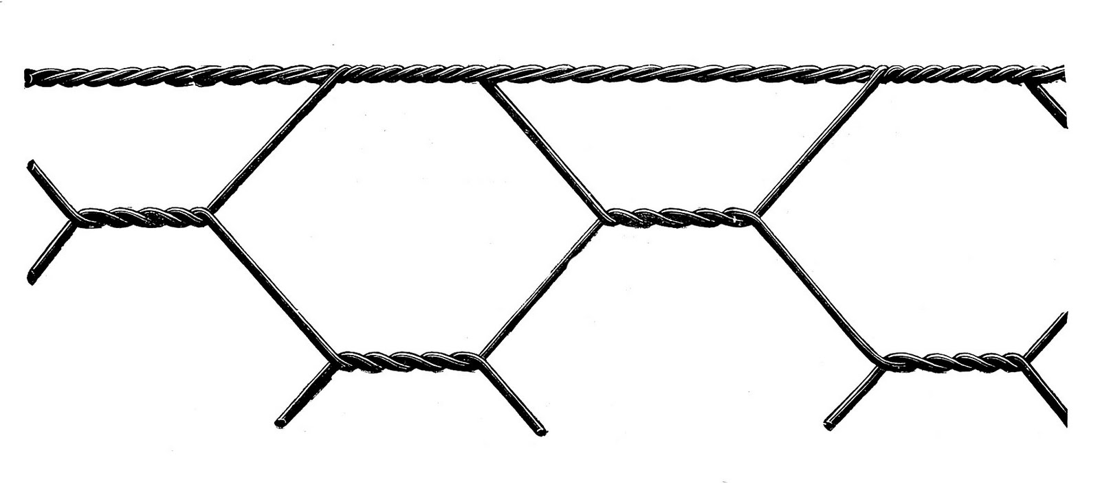 1600x705 Chicken Wire Graphic
