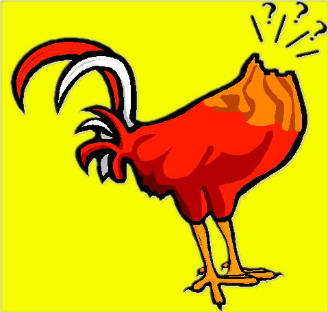 479x456 Graphics For Headless Chicken Graphics