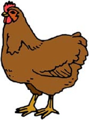 300x404 Chicken Clipart Broiler Chicken