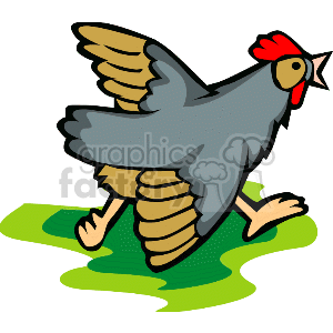 300x300 Royalty Free Chicken 0007 132127 Clip Art Images, Illustrations
