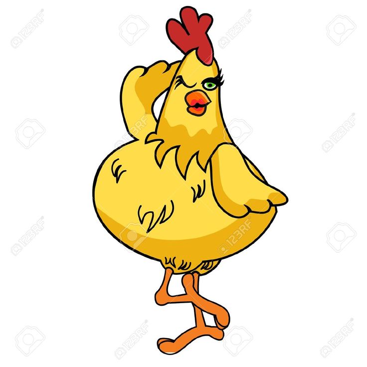 Chicken Images Free