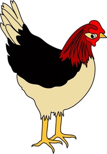 209x300 Chicken Clipart Live