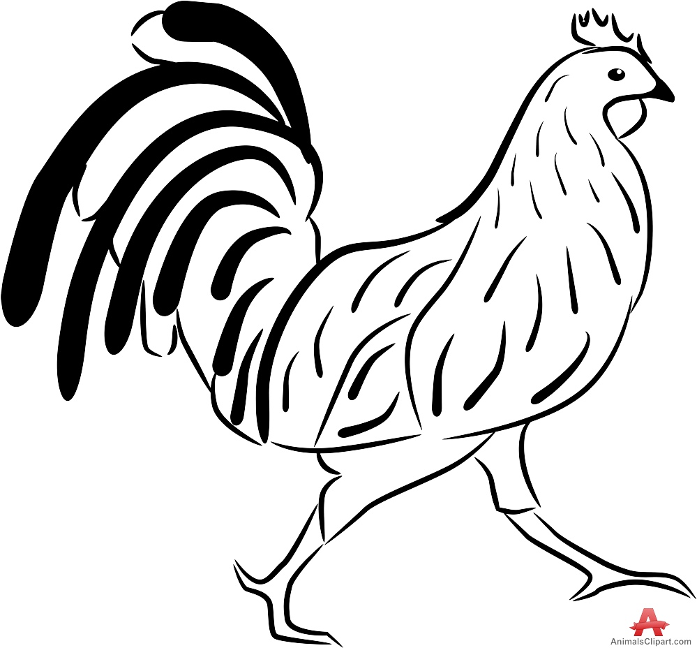 999x928 Outline Chicken Clipart Free Design Download