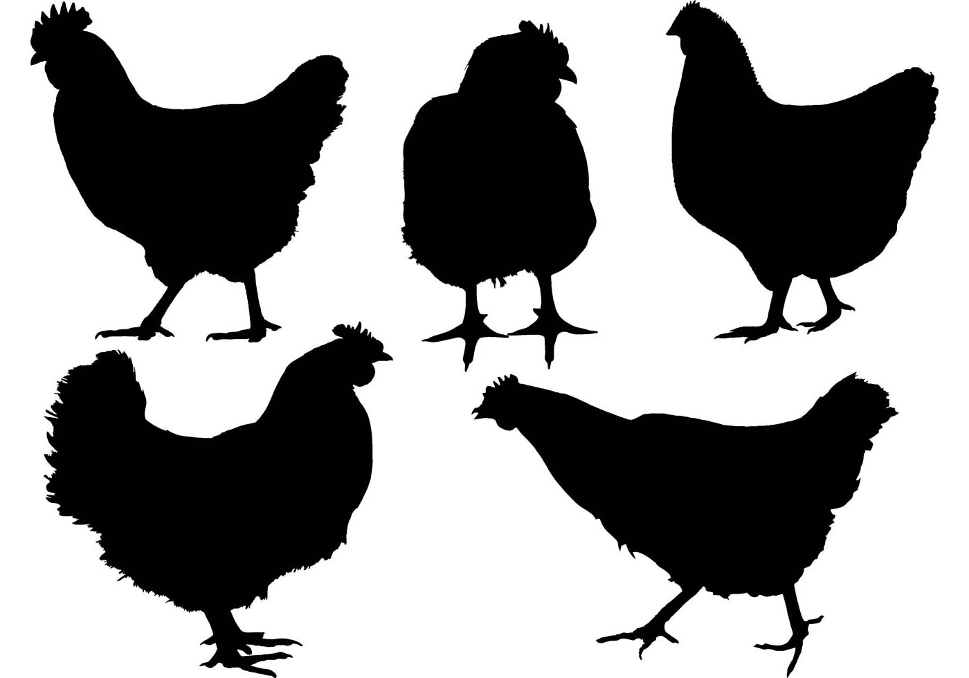 1400x980 Chicken Free Vector Art