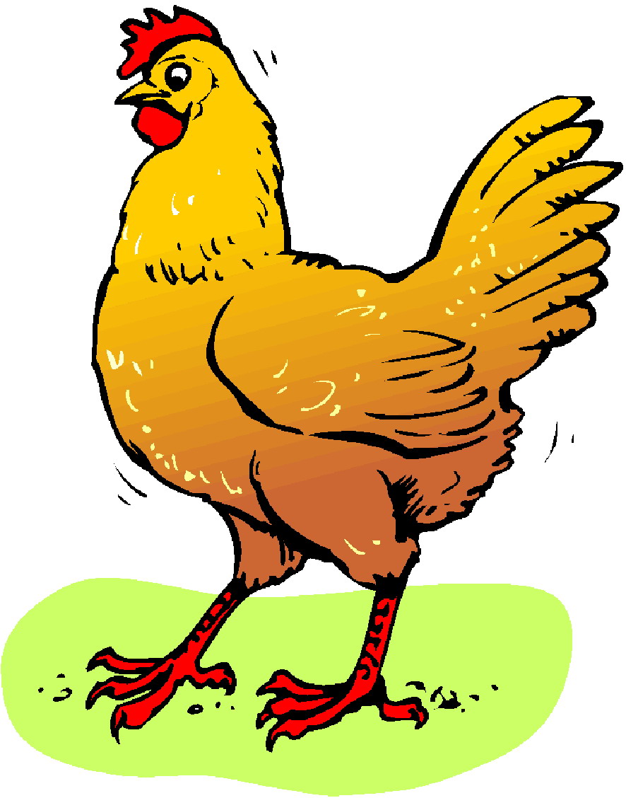 886x1128 Chicken Images Clip Art Clipart