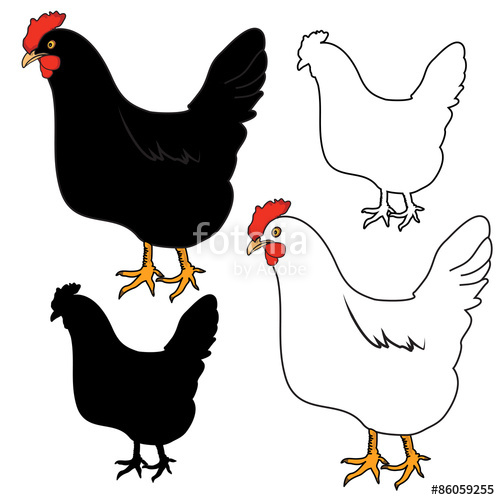 500x500 Hen, Chicken Outline Silhouette Vector Stock Image