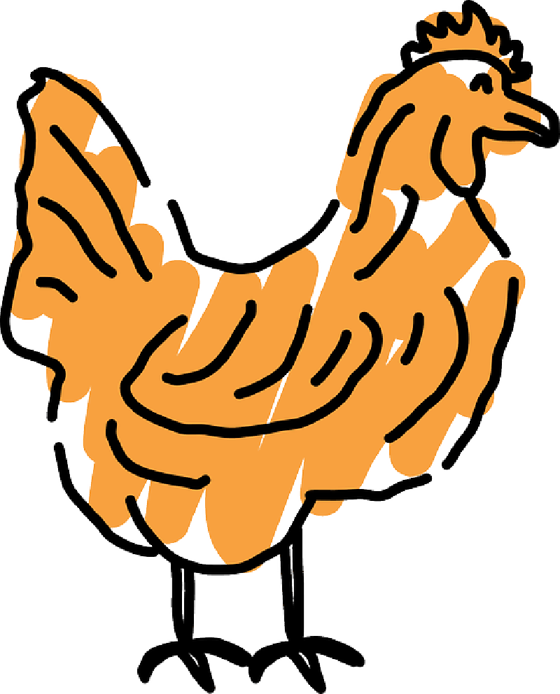 800x992 Outline, Bird, Style, Chicken, Art, Scribbled, Scribble