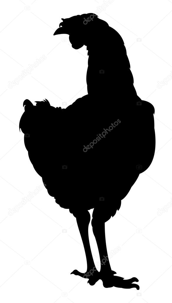 583x1024 Chicken Silhouette Vector Stock Vector Dr.art