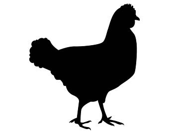 340x270 Chicken Svg Files Etsy
