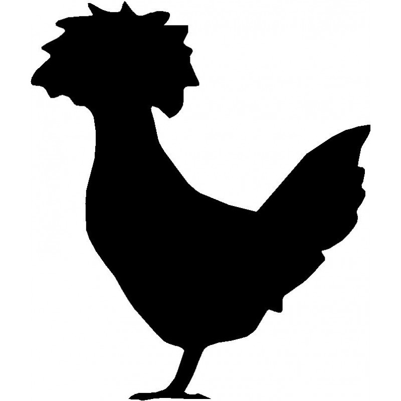 800x800 Polish Chicken Clipart