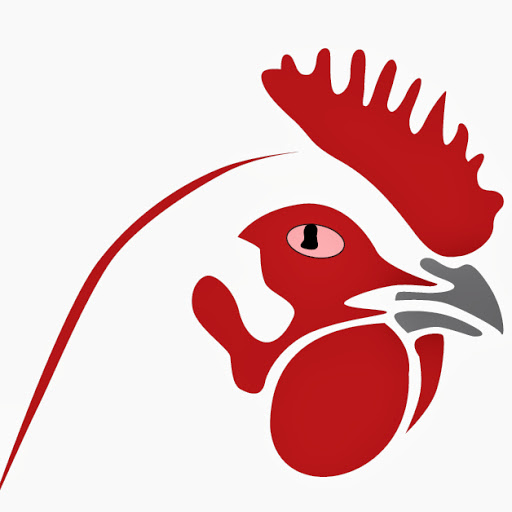 512x512 Ecochicks Poultry Ltd 0727087285