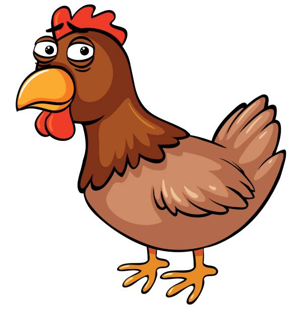 585x612 Chicken Clipart Sleepy