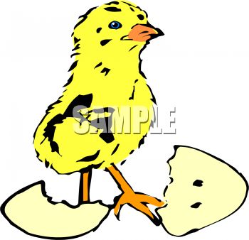 350x338 Chick Egg Clipart