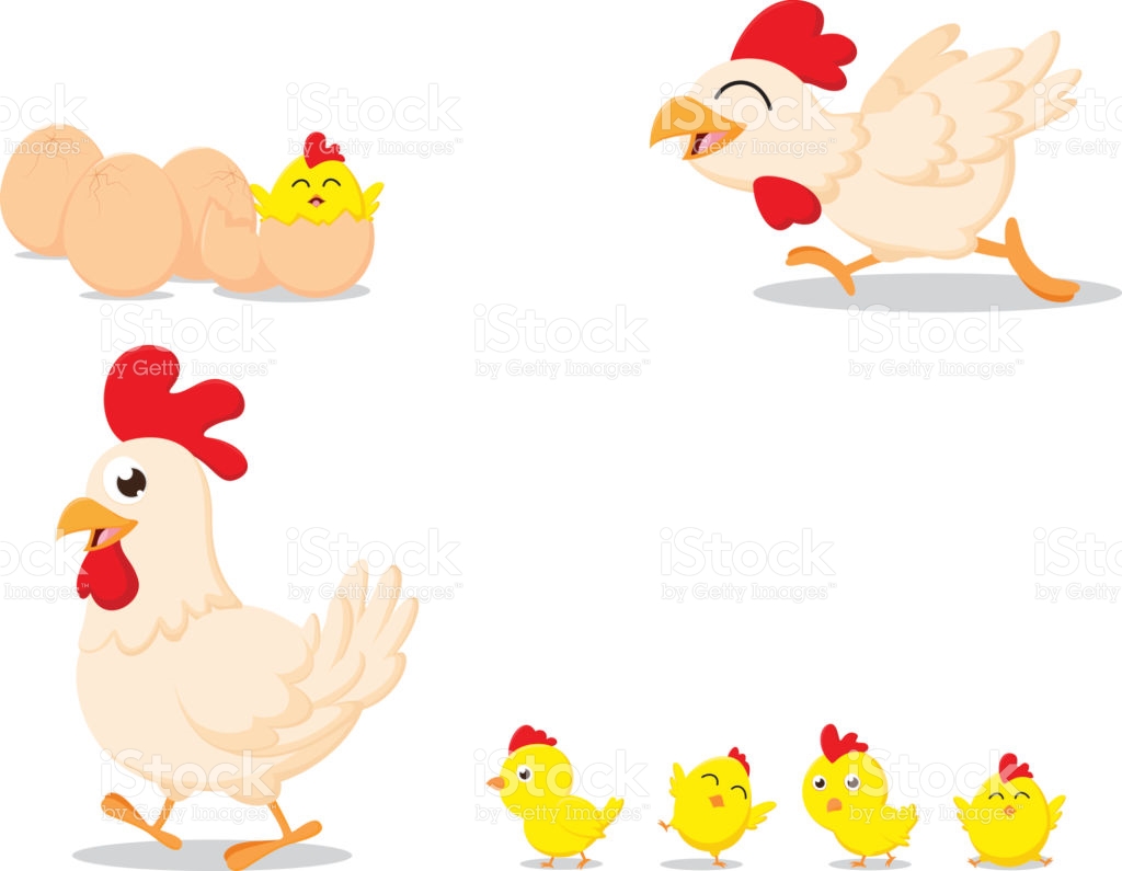 1024x795 Chick Clipart Chicken Family