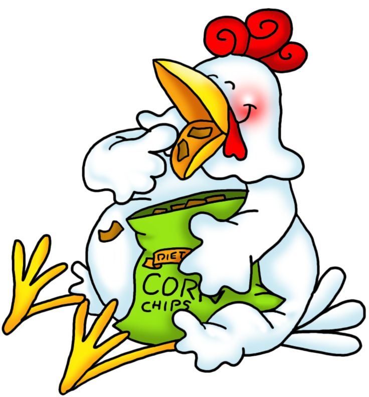 736x793 212 Best Galinhas