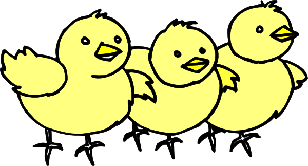 600x323 Chicks In A Line Clip Art