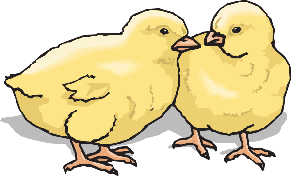600x363 Two Chicks Clip Art
