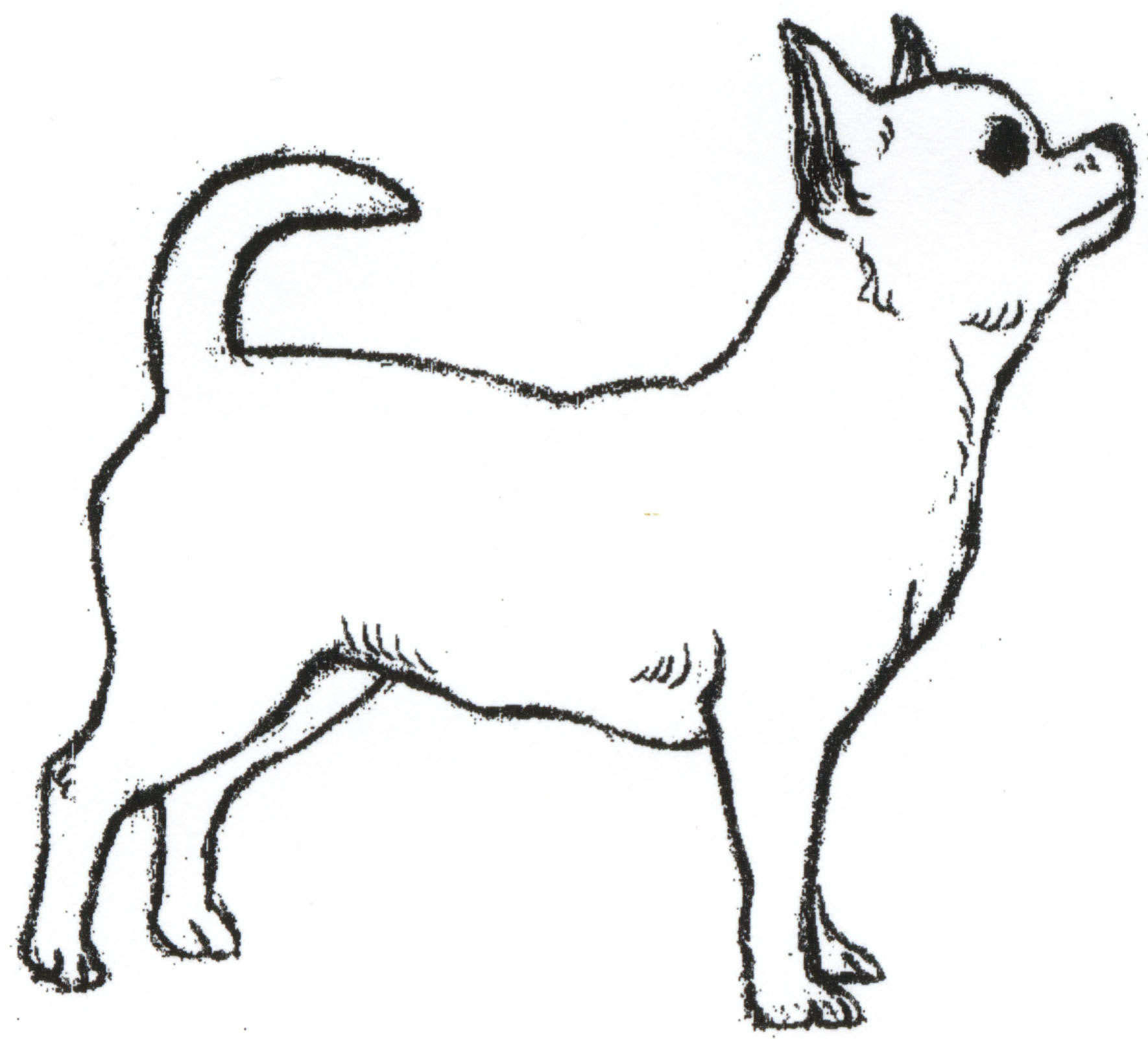 1770x1602 Chihuahua Clipart