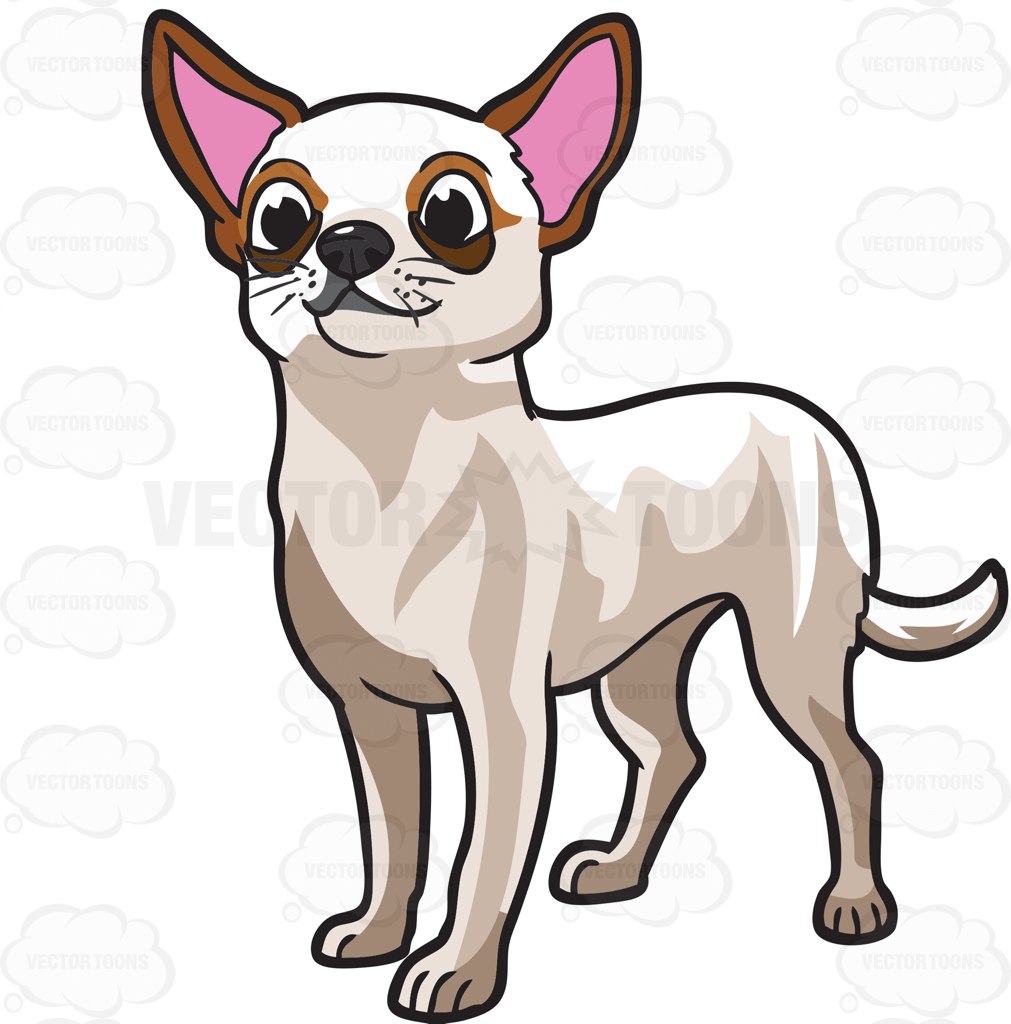 1011x1024 Chihuahua Clipart Cute