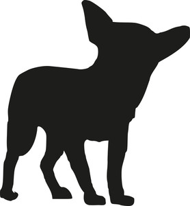 278x300 Chihuahua Dog Illustration On White Royalty Free Stock Image