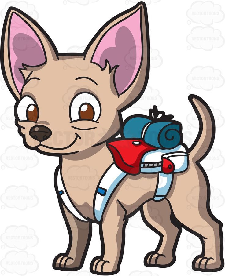736x904 A Tiny Chihuahua Carrying A Backpack And Camping Cloth Cartoon