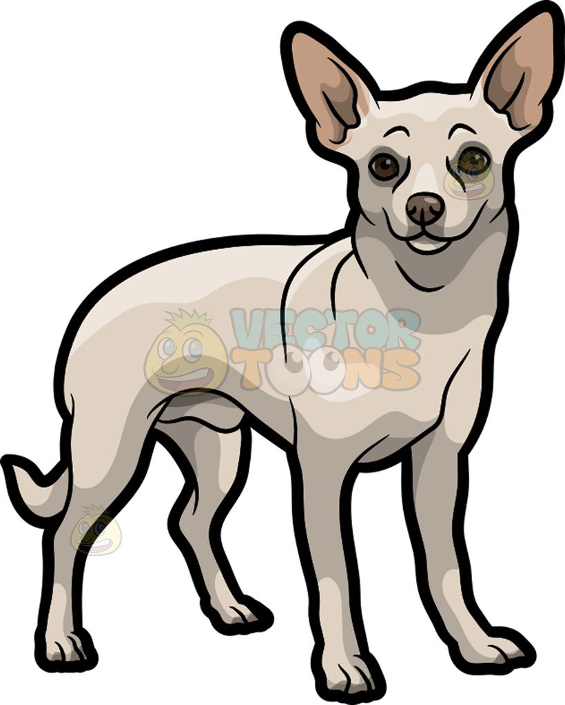 820x1024 A White Chihuahua Cartoon Clipart