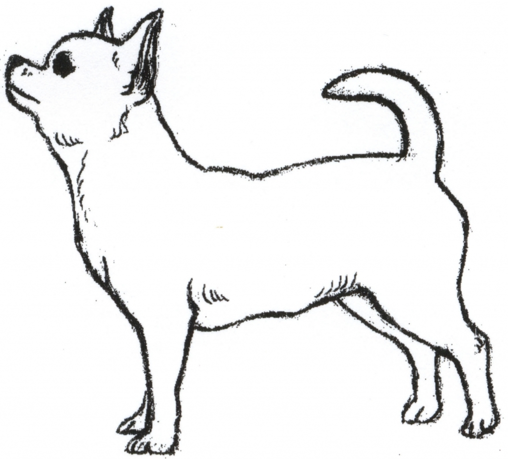 1024x926 Chihuahua Clipart Drawing