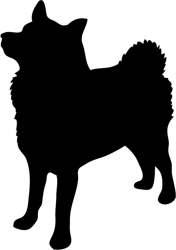 600x850 Chihuahua Clipart Transparent