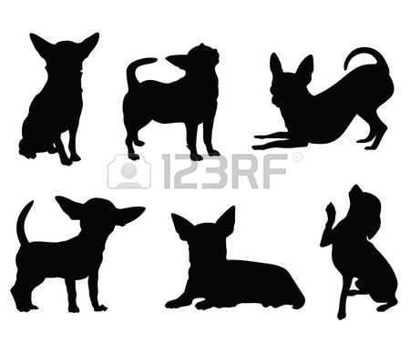 450x377 Profile Clipart Chihuahua