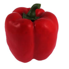 225x225 Chili Pepper Decor Ebay