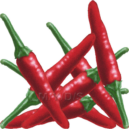 500x500 Chili Pepper Clipart Free Clip Art Image 2