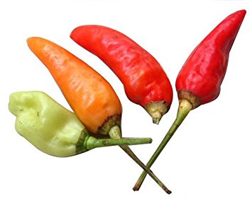 355x284 30 Birds Eye Chili Pepper (Chiltepin Pepper) Capsicum