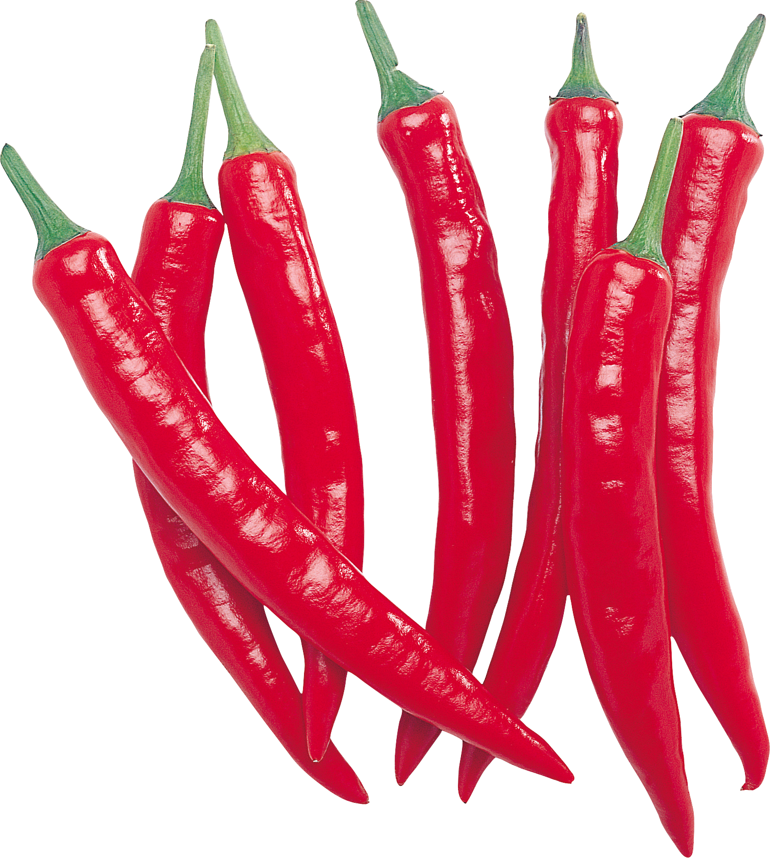 1535x1711 Hot Chili Pepper One Isolated Stock Photo By