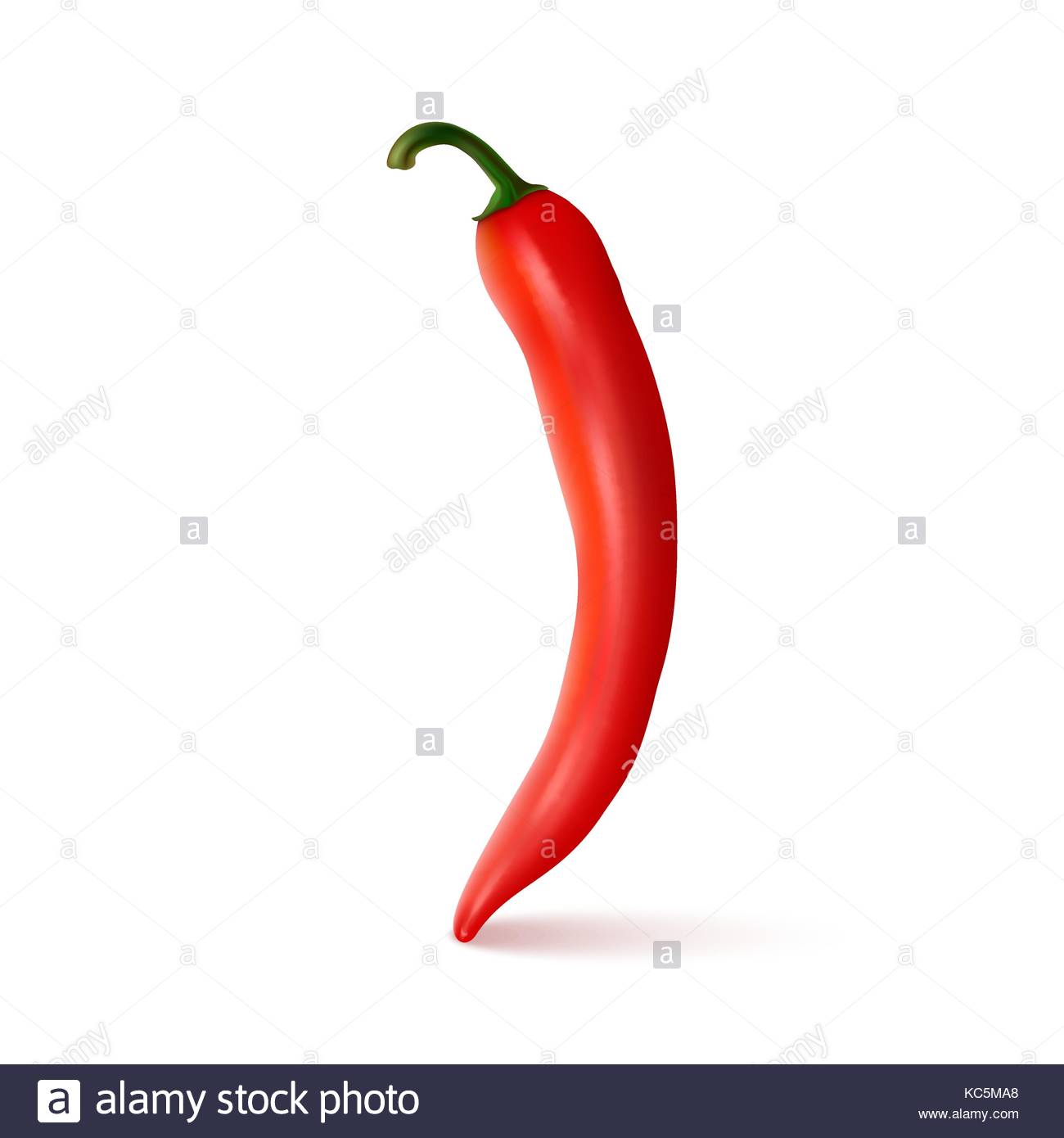 1300x1390 Vector Realistic Red Hot Natural Chili Pepper. Design Template