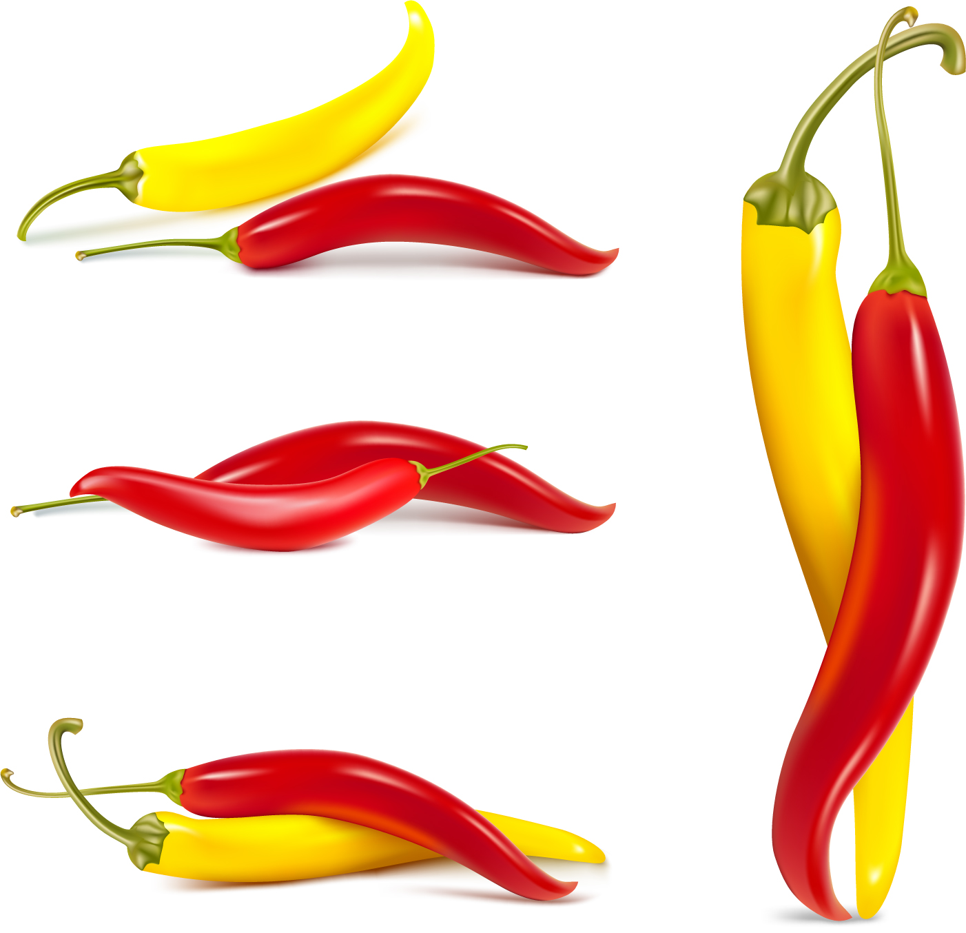 1402x1354 Fine Chili Peppers Vector Free Vector 4vector
