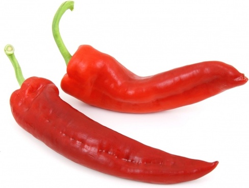 488x368 Free Hot Pepper Photos Free Stock Photos Download (1,154 Free