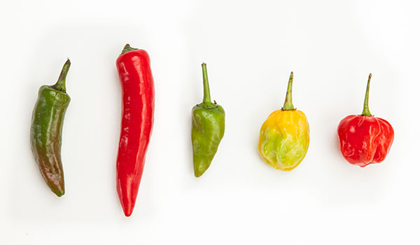 600x350 How Chili Peppers Work Stuff You Should Know