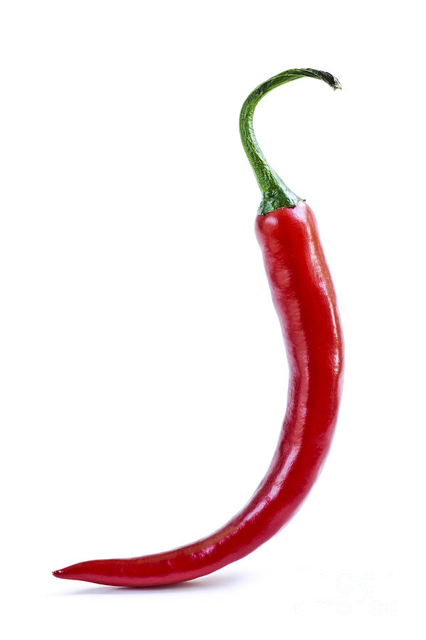 599x900 Red Hot Chili Pepper Photograph By Elena Elisseeva