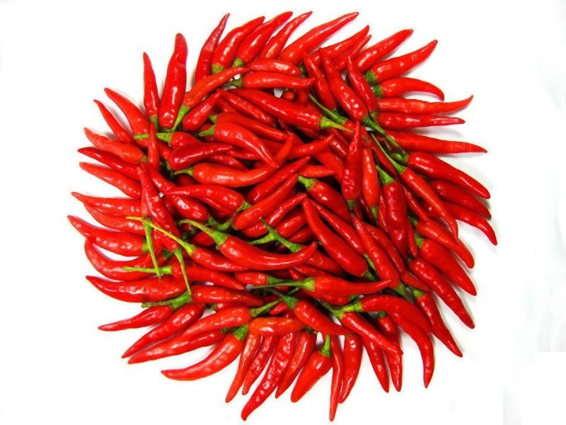 800x600 Fresh Small Red Chilli