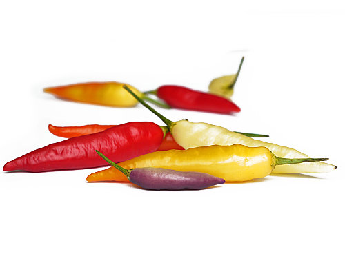 500x375 World's Hottest Chilli Seeds, Seriously Hot Varieties