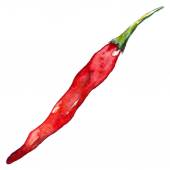 170x170 Watercolor Red Hot Chili Chilli Spicy Pepper Frame Border Stock