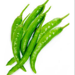 250x249 Green Chilli In Guntur
